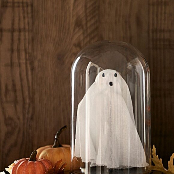 Lit Ghost Cloche Pottery Barn - Picture 2 of 5